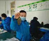 科普研学-走进科学王国，感受自然之美