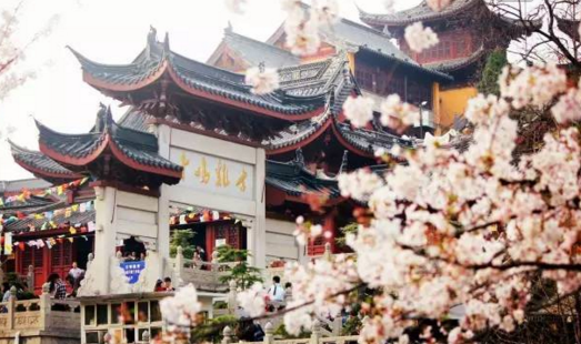 南京地接旅游景点,疫情之后 南京鸡鸣寺赏樱花