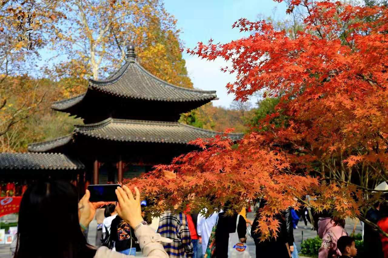 南京旅行社品质排名四季特色-栖霞赏枫情