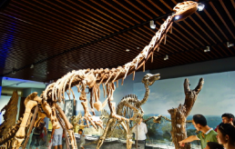  南京研学旅行方案,南京研学资源展示