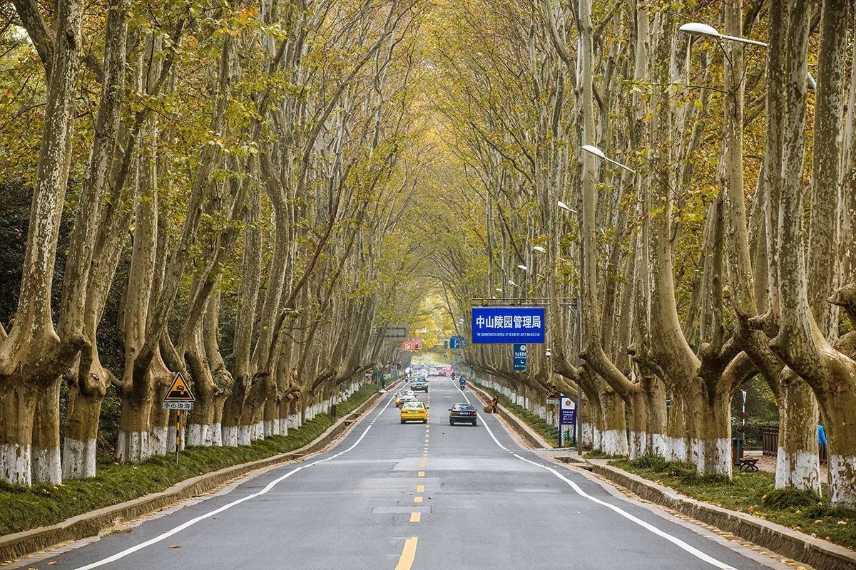  南京旅游方案,钟山风景区