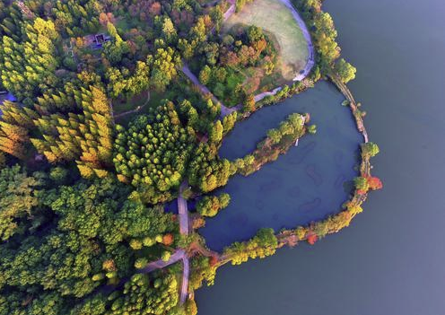  南京研学基地专业推荐,植物王国之中山植物园