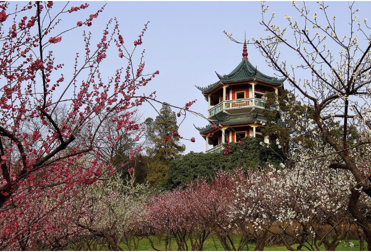  华东地接旅行社,无锡冬景