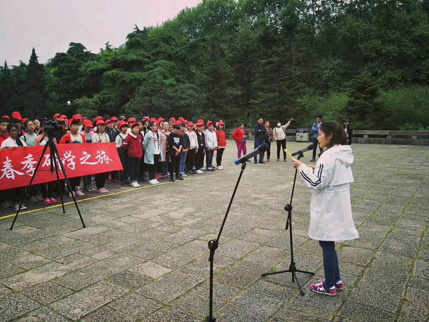  南京旅行社品质排名,南京星辉文化国际旅行社有限公司