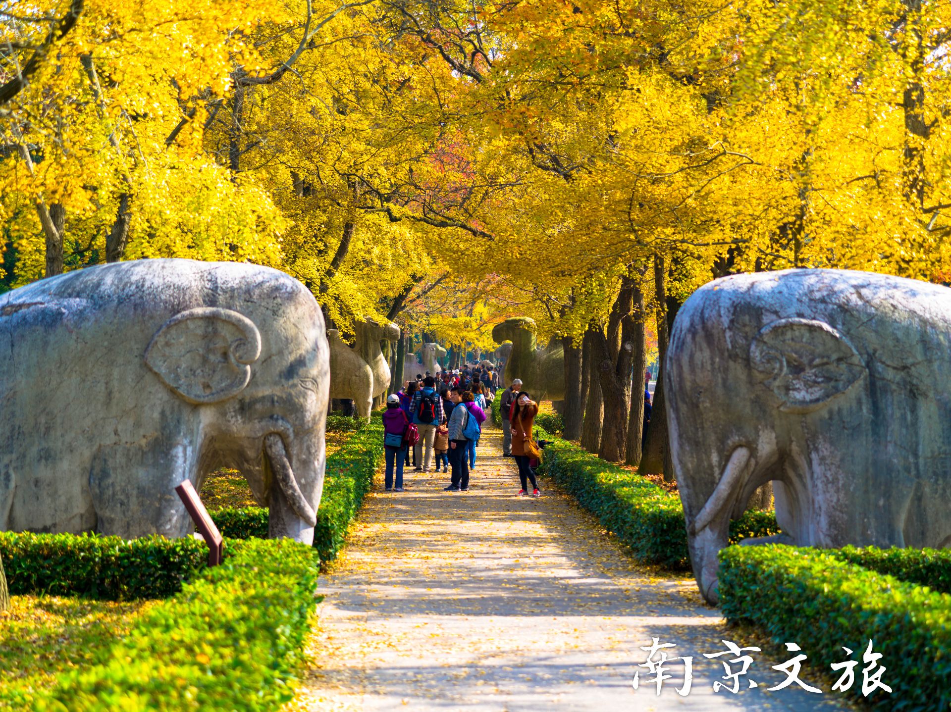  南京地接旅游景点,秋天来南京最适合去哪里呢？