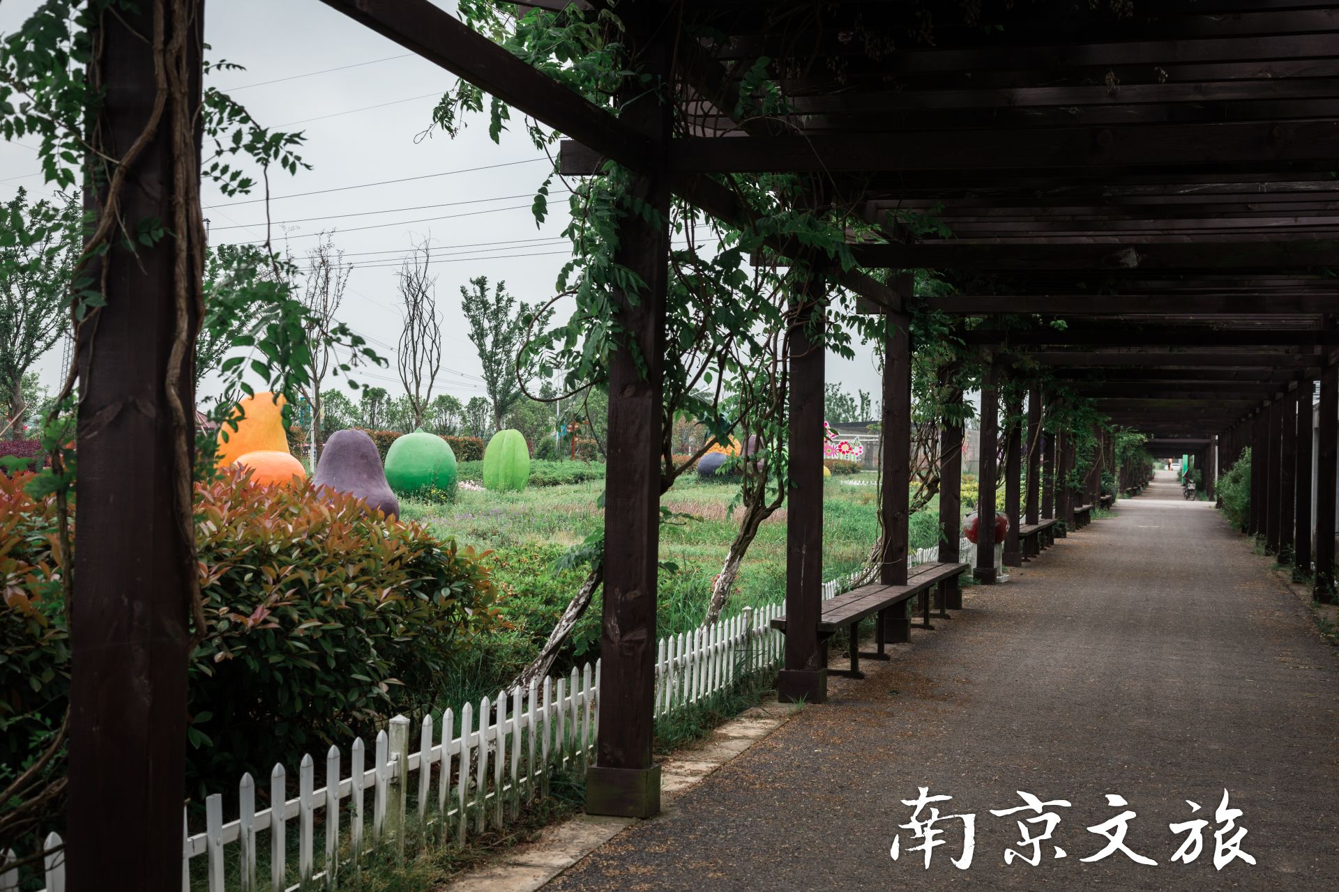  南京研学基地专业推荐,南京有什么适合研学旅行的