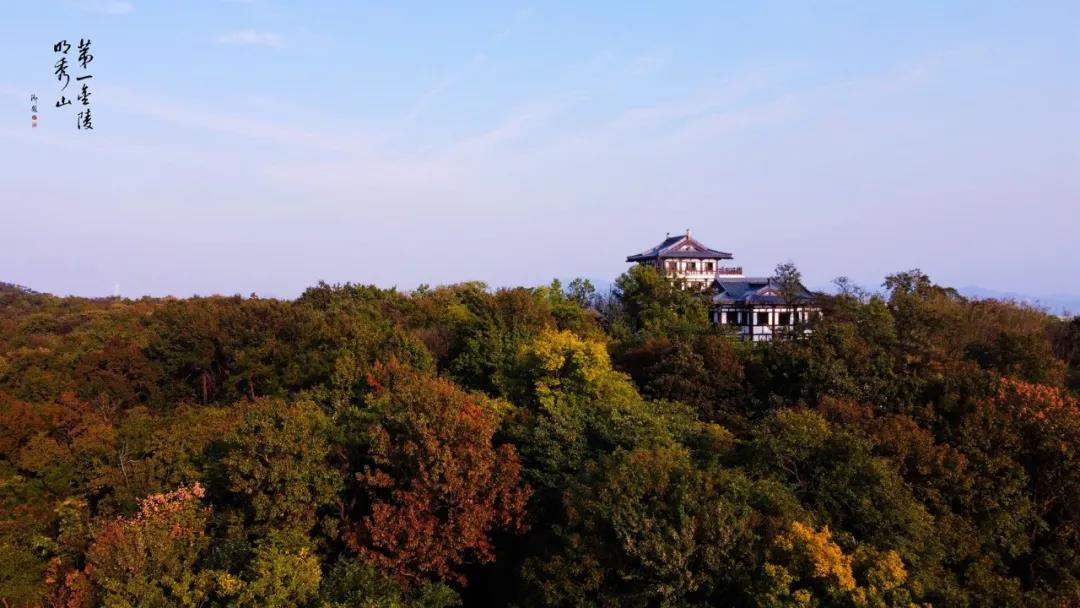  南京研学旅行方案,自然探索的研学有什么
