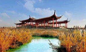 5A洪泽湖湿地公园&大王庄红色景区纯玩一日游