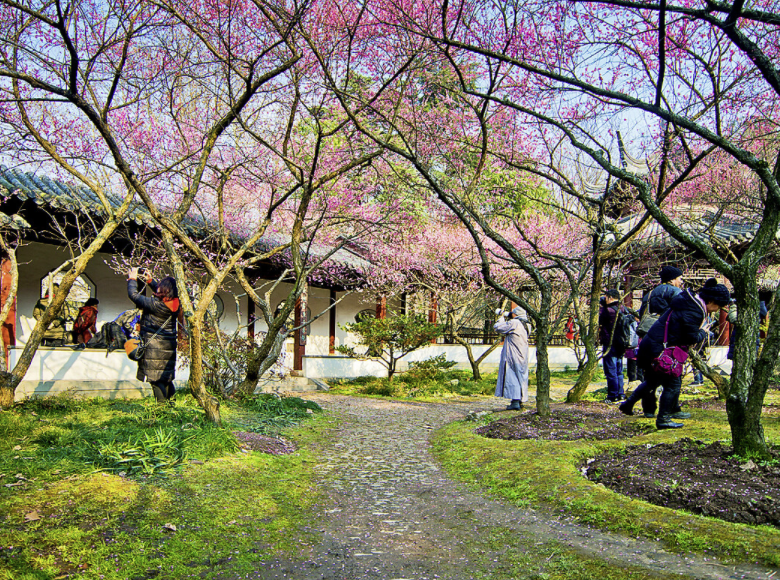  南京旅游方案,踏青赏梅线路