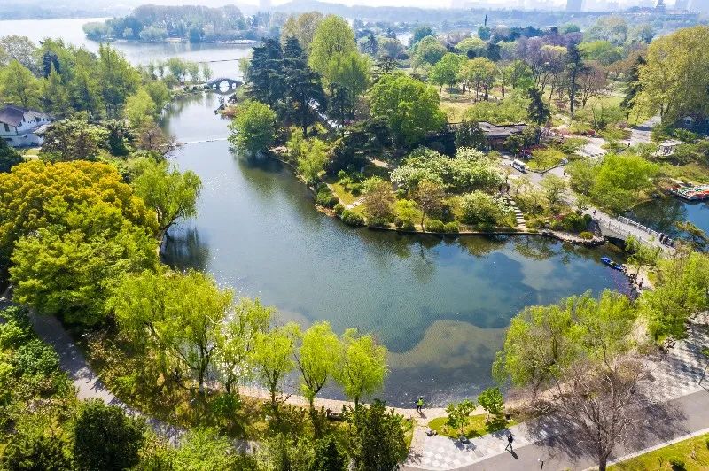  南京研学旅行方案,春日金陵赏花季