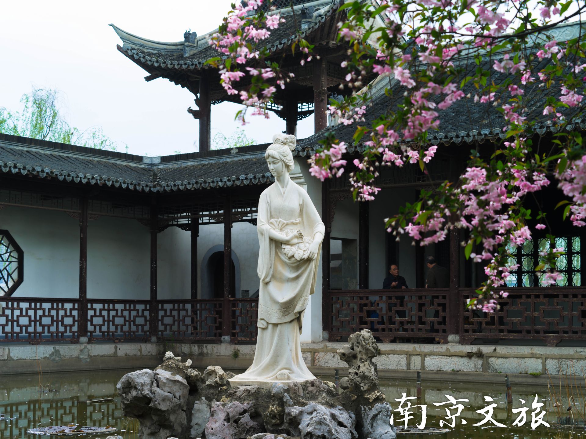  南京旅游方案,南京春季赏花之旅