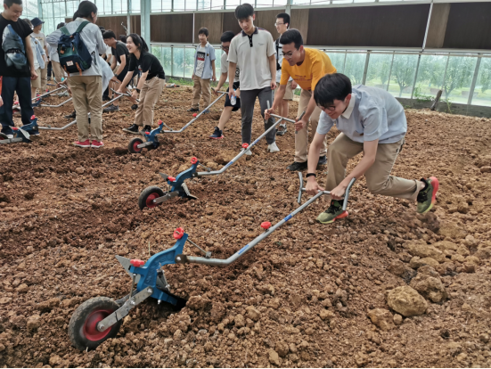  南京研学旅行方案，劳动引领成长