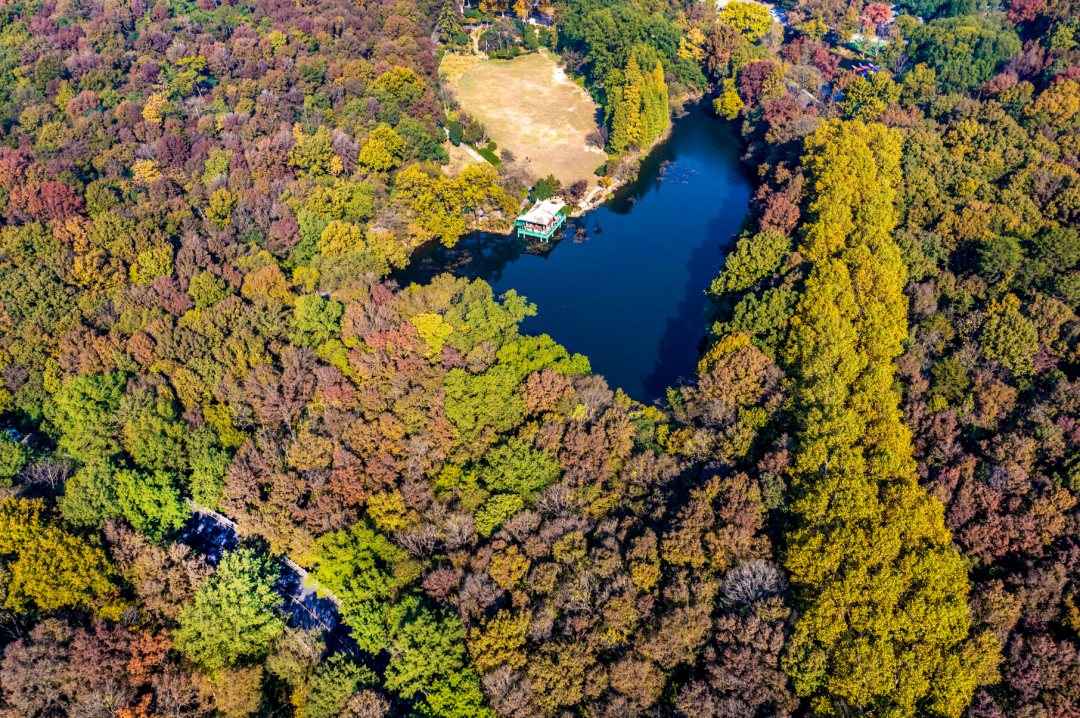  南京地接红色旅游,秋季来南京红色党建