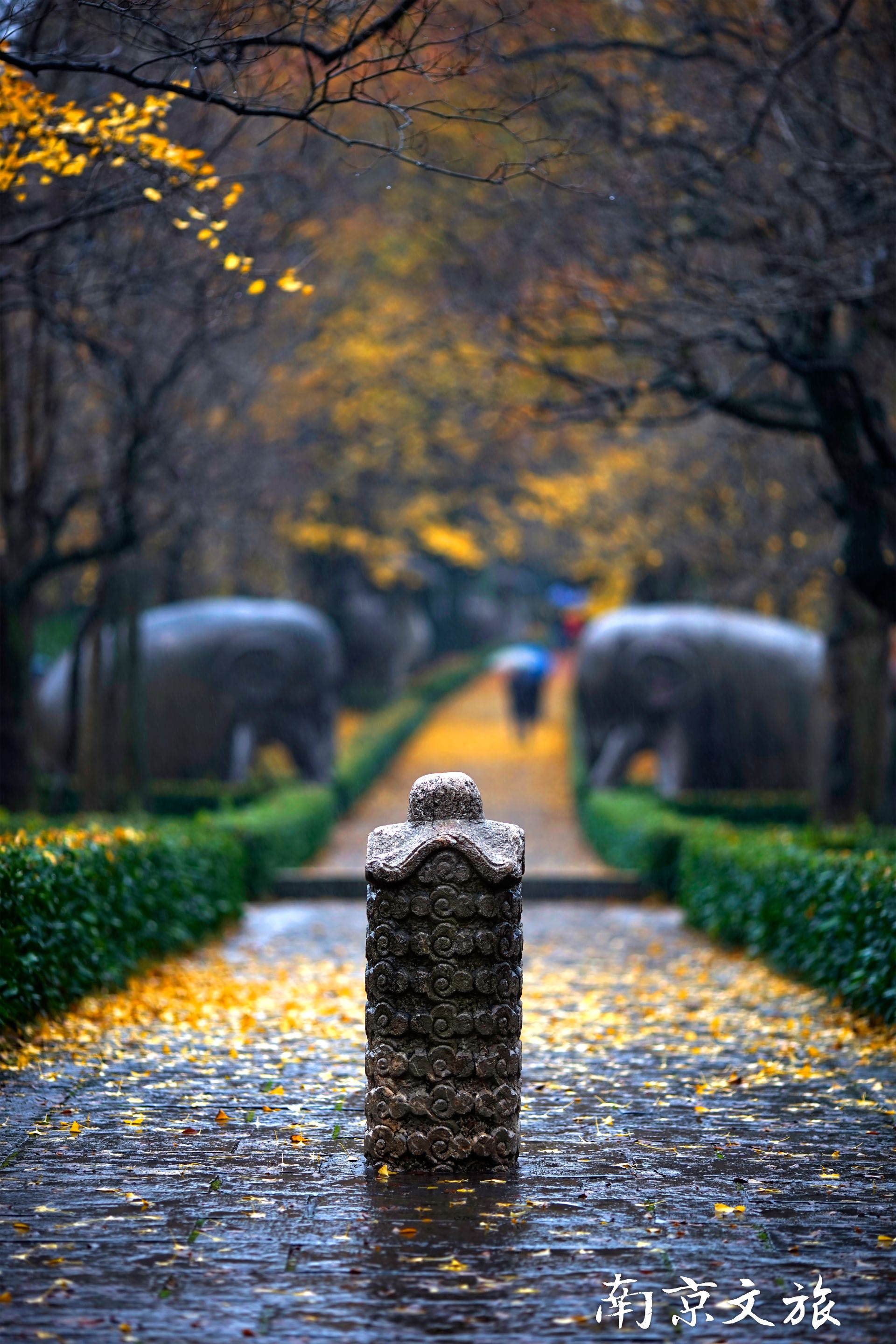  南京旅游方案,打卡南京秋季美景之一